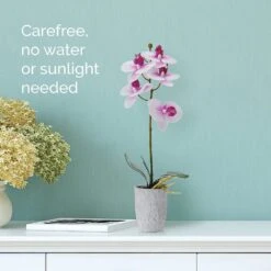 MIKASA 16 Inch Faux Orchid In Grey Pot, White And Fuchsia -Tableware Shop 16 inch faux orchid in grey pot white and fuchsia 5291153 3