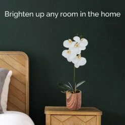 MIKASA 16 Inch Faux Orchid In Pot, Ivory -Tableware Shop 16 inch faux orchid in pot ivory 5293738 3