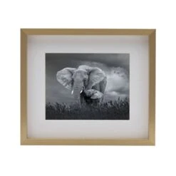 MIKASA Champagne 12 X 14 Gallery Frame, Matted To 8 X 10